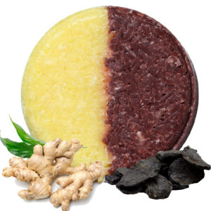 Two-tone round shampoo bar beside ginger root and dark botanical pieces.